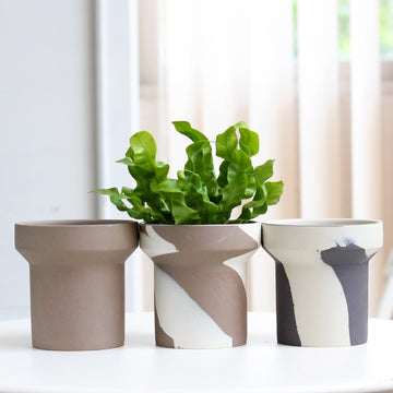 Creative Clashing Ceramic Planters – Unique Succulent, Fern & Tuber Pots for Modern Home Decor