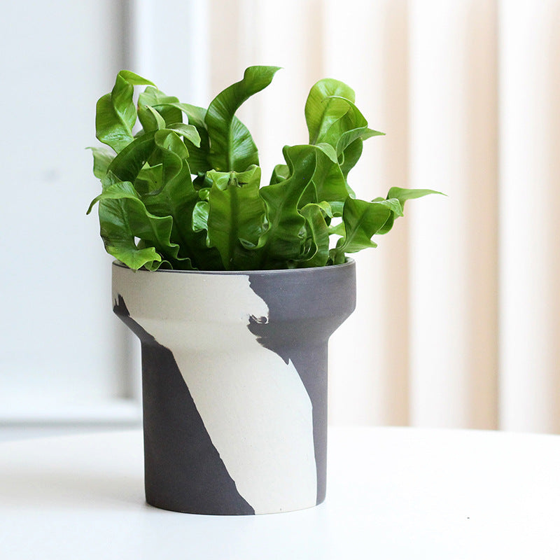 Creative Clashing Ceramic Planters β Unique Succulent, Fern & Tuber Pots for Modern Home Decor