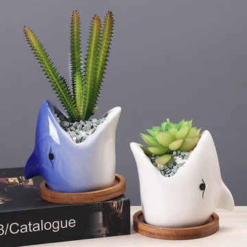 Creative Cartoon Ceramic Succulent Pots – Fun & Whimsical Flower Planters for Indoor Plants