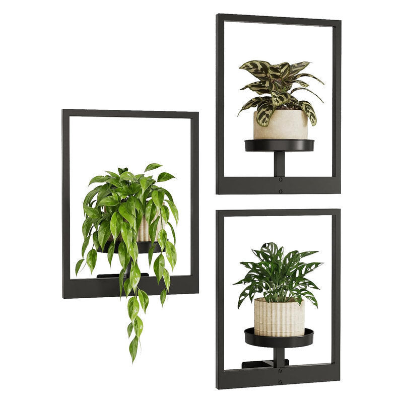 Wall-Mounted Plant Stand β Decorative Flowerpot Display Shelf for Indoor & Outdoor Greenery