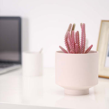 Ceramic Succulent Pots – Indoor Mini Planters for Succulents, Cactus & Small Garden Flowers