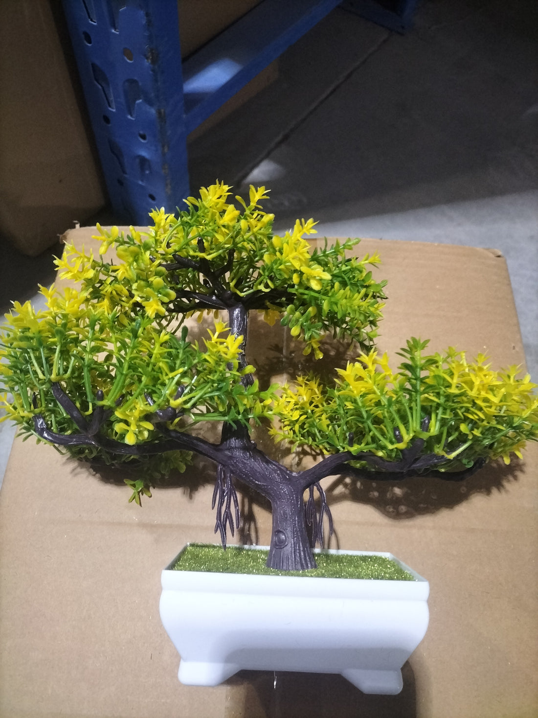 Elegant Bonsai Potted Plants β Miniature Indoor Faux & Real Bonsai Trees for Home & Office