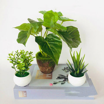 Mini Artificial Potted Plants – Faux Greenery & Flowers for Home & Office Decoration