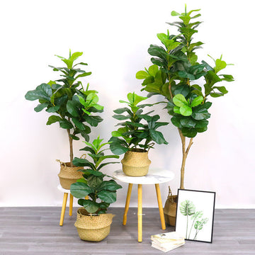 Artificial Bonsai Tree Decor – Faux Trees & Decorative Artificial Plants for Home & Office