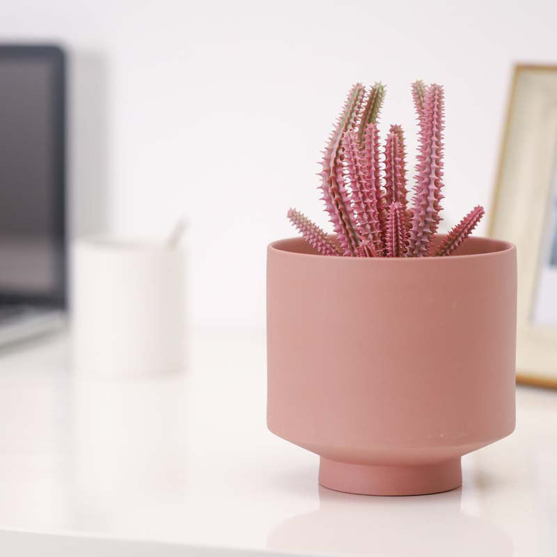Ceramic Succulent Pots β Indoor Mini Planters for Succulents, Cactus & Small Garden Flowers
