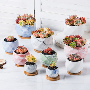 Scandinavian Marbled Ceramic Succulent Planters – Minimalist Indoor Plant Pots for Home & Office Decor