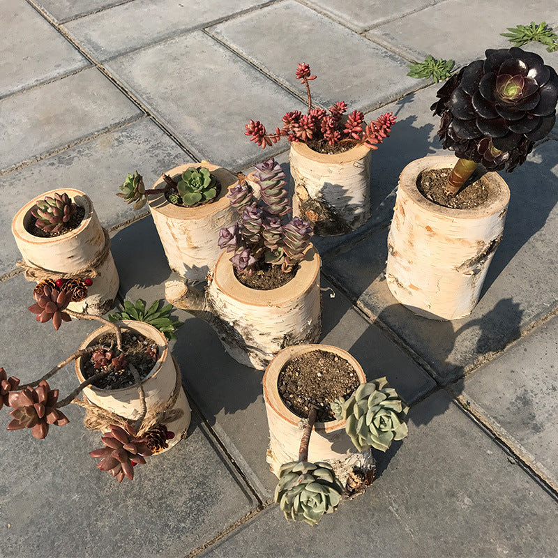 Modern Indoor & Outdoor Planters – Durable Decorative Pots for Home, Garden, Balcony & Office