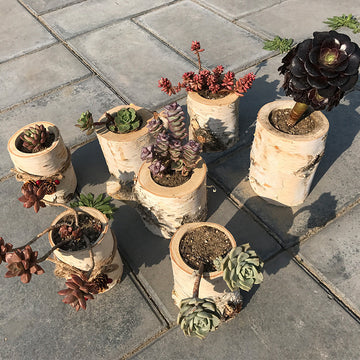 Modern Indoor & Outdoor Planters – Durable Decorative Pots for Home, Garden, Balcony & Office