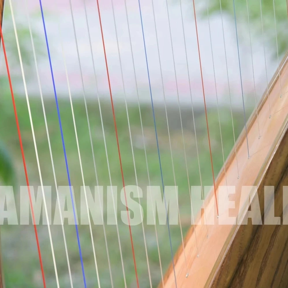 Handcrafted Solid Wood Lever Harp | Portable Celtic Harp for Stage & Home Use