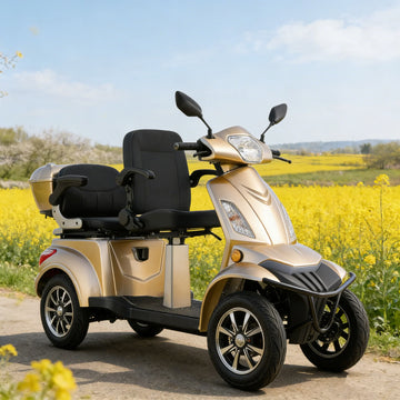 Light Luxury Elegant 60V 20Ah Lead-Acid Battery Household Four-Wheeled Scooter Brushless 40-60km Range 21-30km/h Speed VIGOROUS