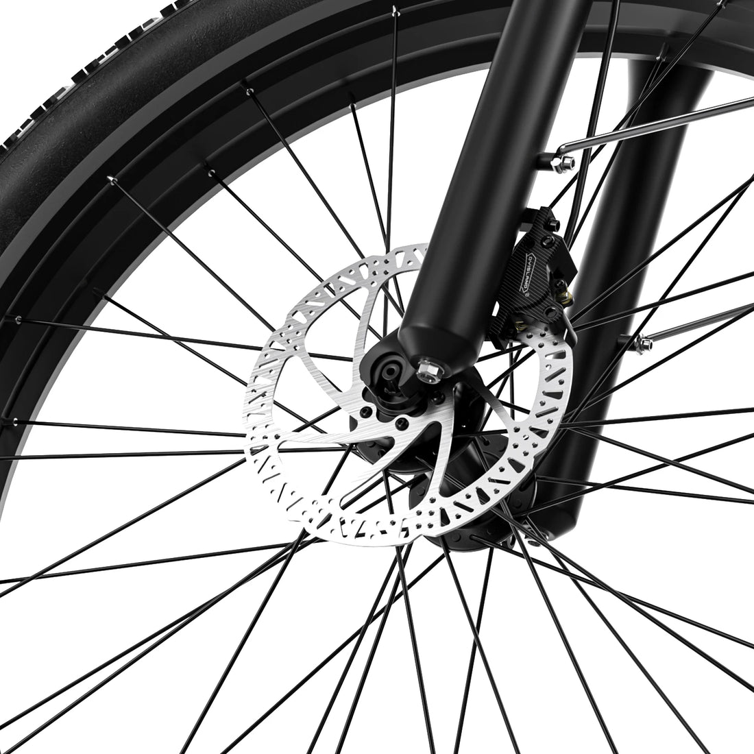 Beyaan 1000W Brushless Electric Bike — Steel Frame, Fat Tire, 48V 20Ah/15Ah, Snow & Mountain Riding