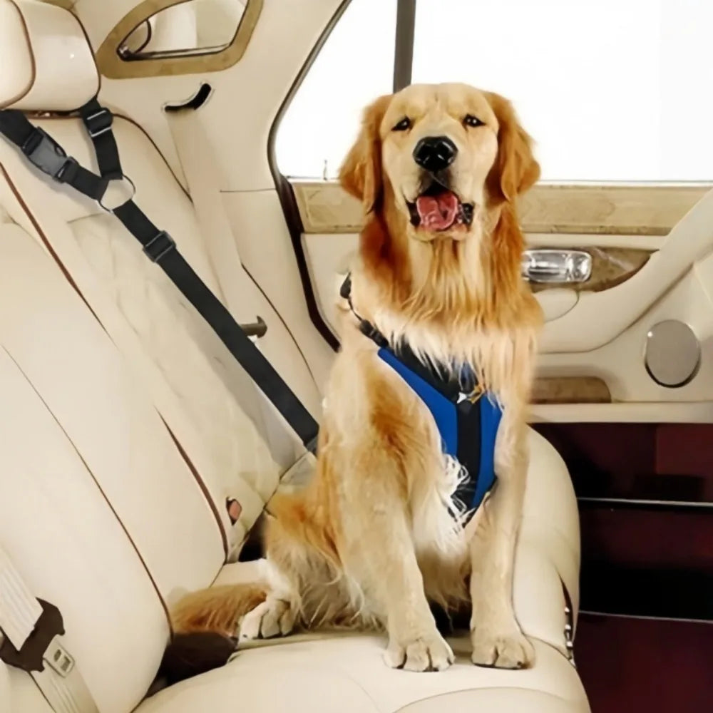 Pet Polyester Seat Belt Dogs Cats Ride on A Car with Fixed Protective Ropes Car Headrest Restraint Adjustable for Safety Rope