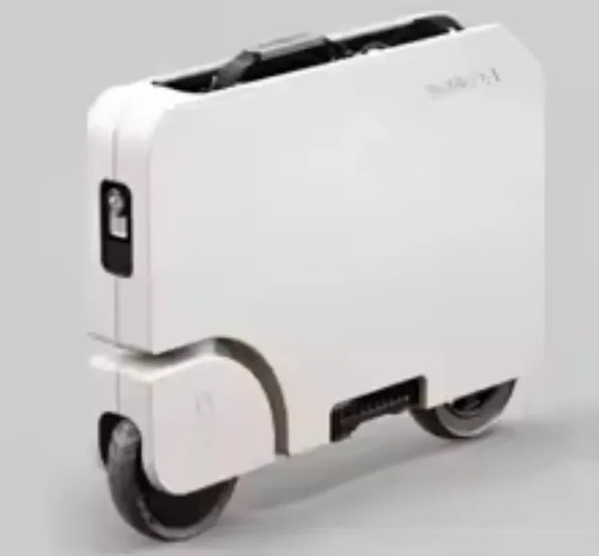Vehicle-mounted Portable Battery Scooter/folding Electric Scooter/motorcycle