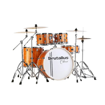 Professional 5-Piece Drum Set 6-Ply Maple 4-Ply Poplar Jazz Acoustic Drums with Cymbals for Stage Concert Band Performance