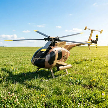 Dual Brushless C189 Bird Helicopter Remote Control Toy 4/6 Channels Simulation Real Model Airplane for Kids And Adults