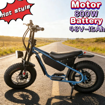 16-Inch Retro E-Bike 800W Smart Motor 48V 15AH Lithium Battery Electric Bicycle