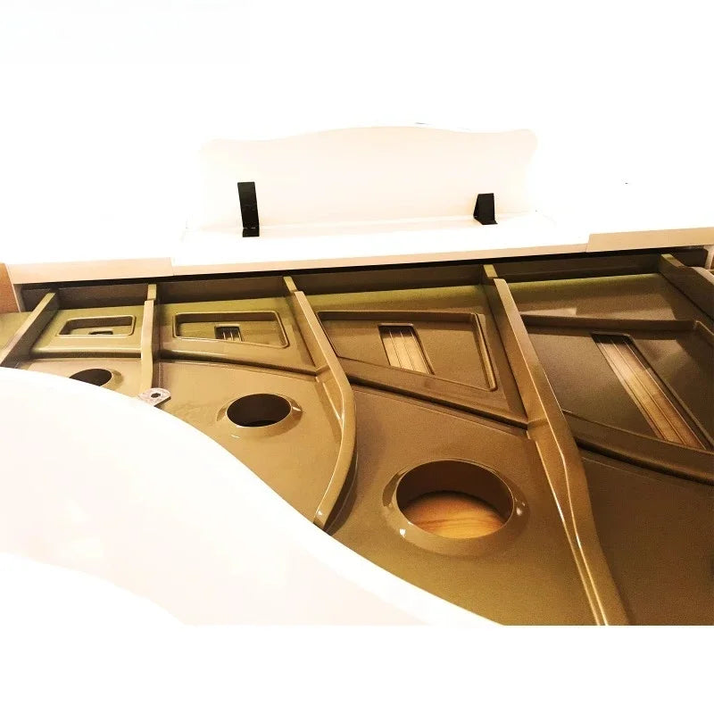 CHLORIS  88-Keys Digital Grand Piano DG-152  with Acoustic Piano Shell for Sale