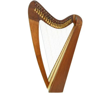 Harp-24 String